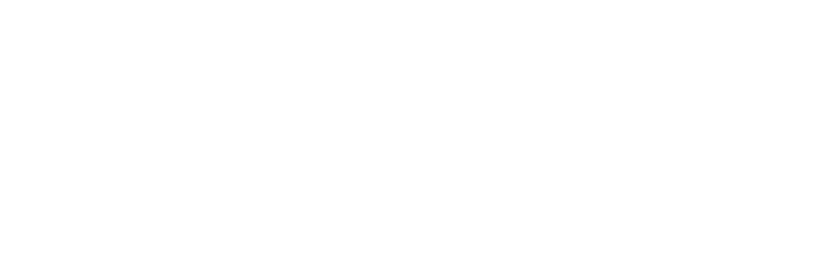 Bruvi Licitações